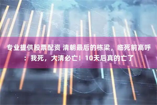 专业提供股票配资 清朝最后的栋梁，临死前高呼：我死，大清必亡！10天后真的亡了